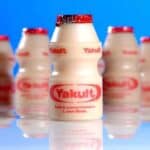 Yakult engorda